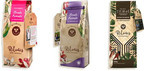 Seo 3Ciclos - Reconhecer