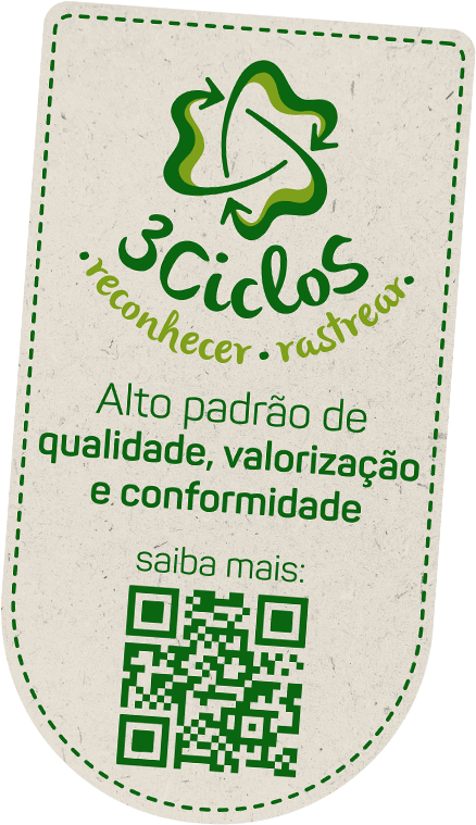 Seo 3Ciclos - Rastrear