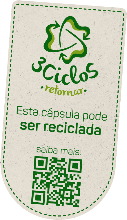 Seo 3Ciclos - Retornar